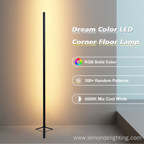 Simple adjustable Decorative Floor Light